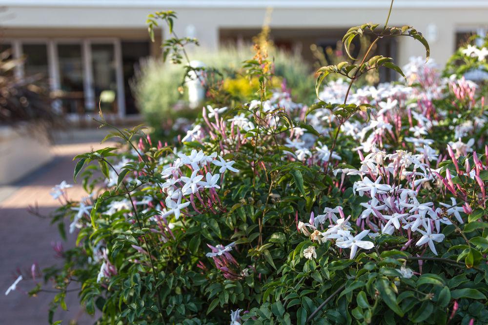 The Blue Lotus Guest House Port Elizabeth Zewnętrze zdjęcie